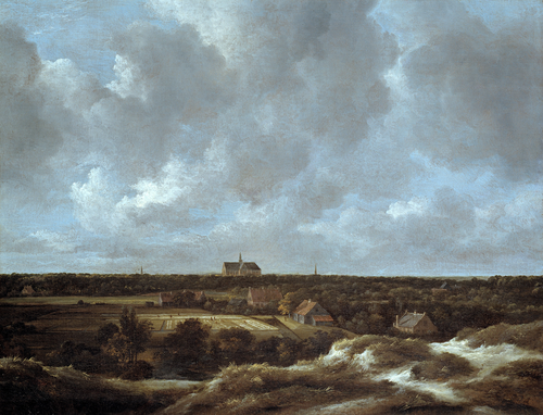 Full view of A View of Haarlem and Bleaching Fields